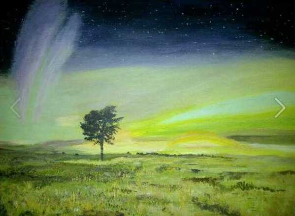 the-northern-lights-over-angus